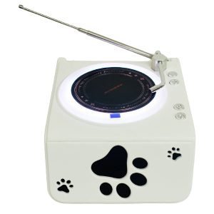 Bocina Bluetooth Retro Tipo Tocadiscos