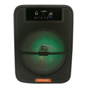 Bocina Bluetooth 8″