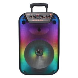 Bocina Bluetooth 12″ luz LED tipo flama con micrófono alámbrico