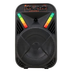 Bocina Bluetooth 12″