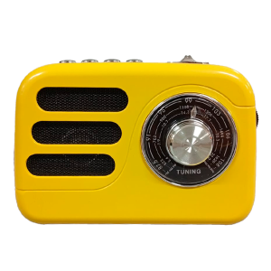 Radio Bluetooth AM/FM