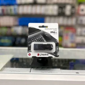 Memoria USB Kingston 256GB